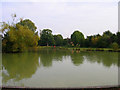 Hailsham Common Pond in BN27 2PN