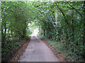 Leafy lane, Lenham, Kent in ME17 2EX