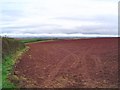 Devon red field in TQ7 2ED
