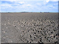 Very large ploughed field, Morris Fen, Thorney, Cambs in PE6 0TJ