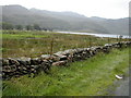 Water meadows at the North end of Llyn Dinas in LL55 4NH