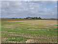 Farmland from Fall's Drove, Crowland, Lincs in PE6 0ND