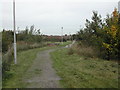 Housing Estate Footpath in NG18 5HL