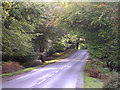 The B3078 through Brook Wood, New Forest in SO43 7JB