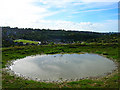 Dewpond, Bevendean in BN2 4TR