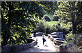 Respryn Bridge on the River Fowey, Cornwall in PL30 4AH