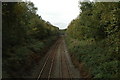 Railway through Delamere Forest in CW6 0TF