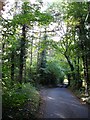 Gravelly Bottom Road in Langley Heath