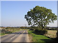 The road from Little Weighton to Skidby in HU16 5TT
