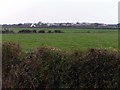 Across the fields to Mawbray in CA15 6QU