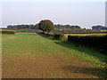 Blackmeredale Bottom in HU17 8RR