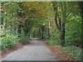 A leafy Surrey Lane in TN16 2DG