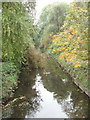 Silk Stream with reflected foliage, The Hyde in NW9 6EB