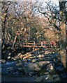 Footbridge, Dewerstone Wood in PL7 5HA