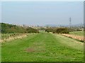 Footpath Across Bowers Marshes in SS7 5BN