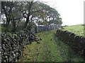 Farmtrack near Ellerbeck Bridge. in CA19 1TJ