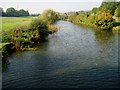 River Medway from Barming Bridge in ME15 0LB