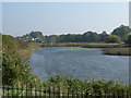 Pond in Southchurch Park in SS2 4GS