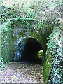 Railway Tunnel/Footpath, Brixton-Brixton Torr in PL8 2BE