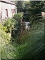 Ventongimps Mill and stream in TR4 9LH