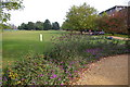University Parks, Park Road, Oxford. in OX2 6SQ