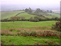 View towards Pilsdon Barn from Pilsdon Pen in Pilsdon