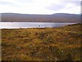 Looking Across Loch Shin To Creanich in IV27 4NY