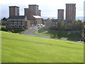 Radnor Park Tower Blocks in Clydebank