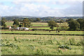 Halberton: paddocks near Ivy House Farm in EX16 7EE