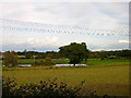 Water Meadows and Farmland, near Partridge Green in RH13 8RA