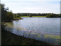 Barden Lake, Haysden Country Park in TN9 1XG
