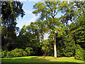 Westonbirt Arboretum in GL8 8UR