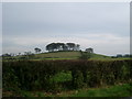 The Doon and old fort West of Twynholm in DG6 4NX