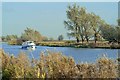 River at Ely, from watermeadow in CB7 4TP