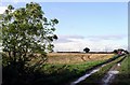 Farmland near Ulceby in DN39 6UT