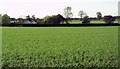 Fields on the outskirts of Ulceby in DN39 6XU