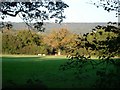 Field and woodland in GU6 7SH