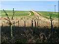 Farmland in the Leckhampstead area in RG20 8QP