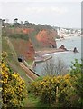 Railway tunnel and Shell Cove, Dawlish in EX7 0NJ
