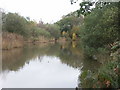 Mopley Pond, Hants in SO45 1YG
