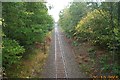 Railway through Bricket Wood Common in AL2 3XU