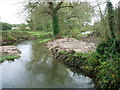River Itchen in SO50 6NZ