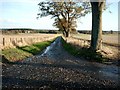 Country road near Tayport in DD6 9LG