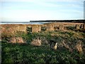WW2 coastal defences at Lundin Bridge Tayport in DD6 9EG