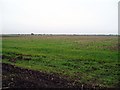 Farmland that was once a fen. in PE38 0AH