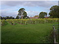Brightwell Vineyard, Wallingford in OX10 8LJ