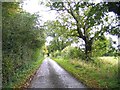 A quiet Suffolk Lane near Bruisyard in Bruisyard