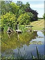 Pond at Hopleys Garden, Much Hadham in SG10 6BU