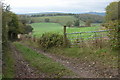 Track and bridleway on Marcle Hill in HR8 2PB