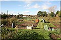 Allotments off Hill Lane, Colden Common in SO21 1SP
